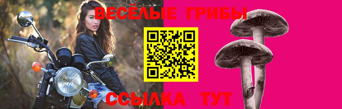 Галлюциногенные грибы мухоморы  Вход с VPN  Арзамас  Галлюциногенные грибы мицелий 
